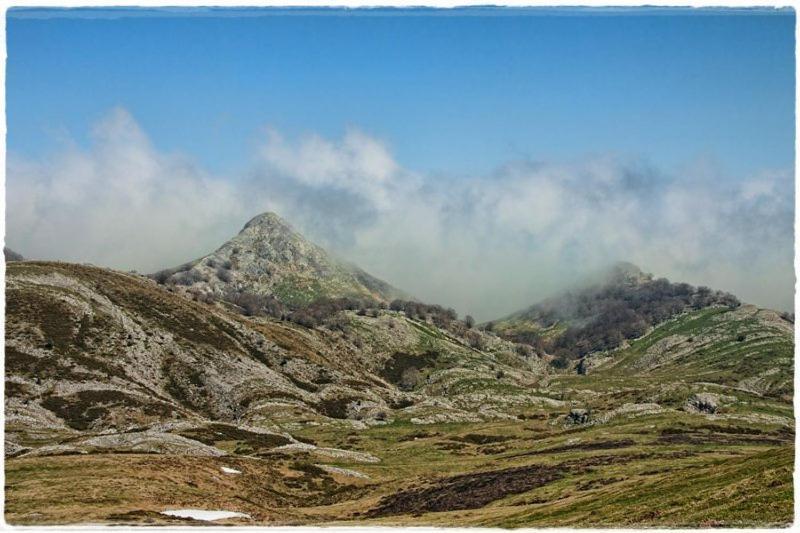 Hostal Rural Elosta Lekunberri Bagian luar foto