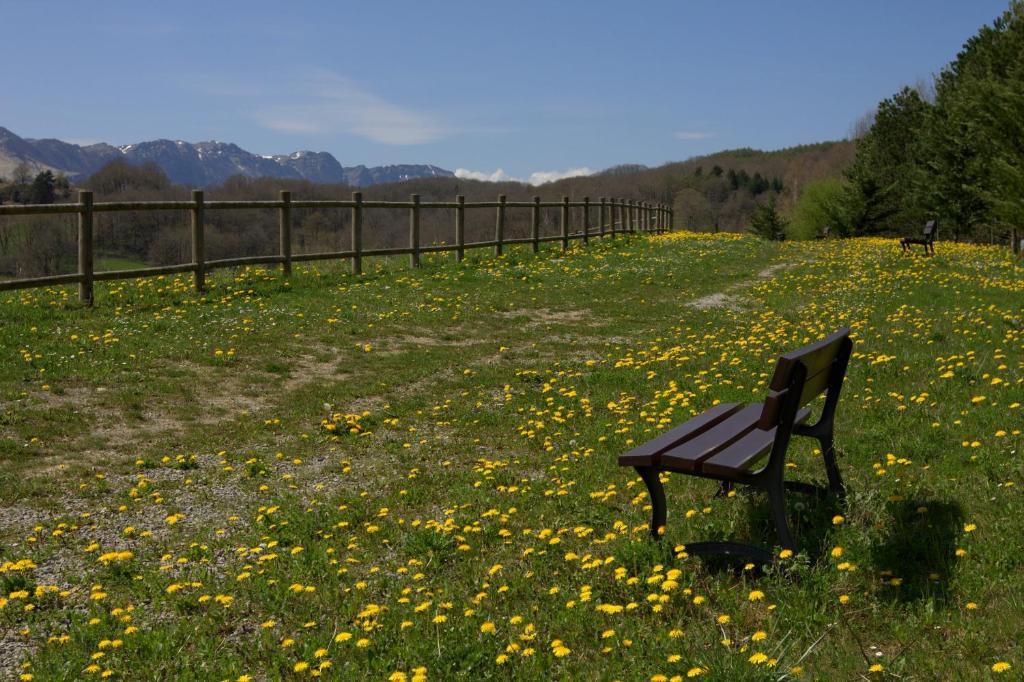 Hostal Rural Elosta Lekunberri Bagian luar foto