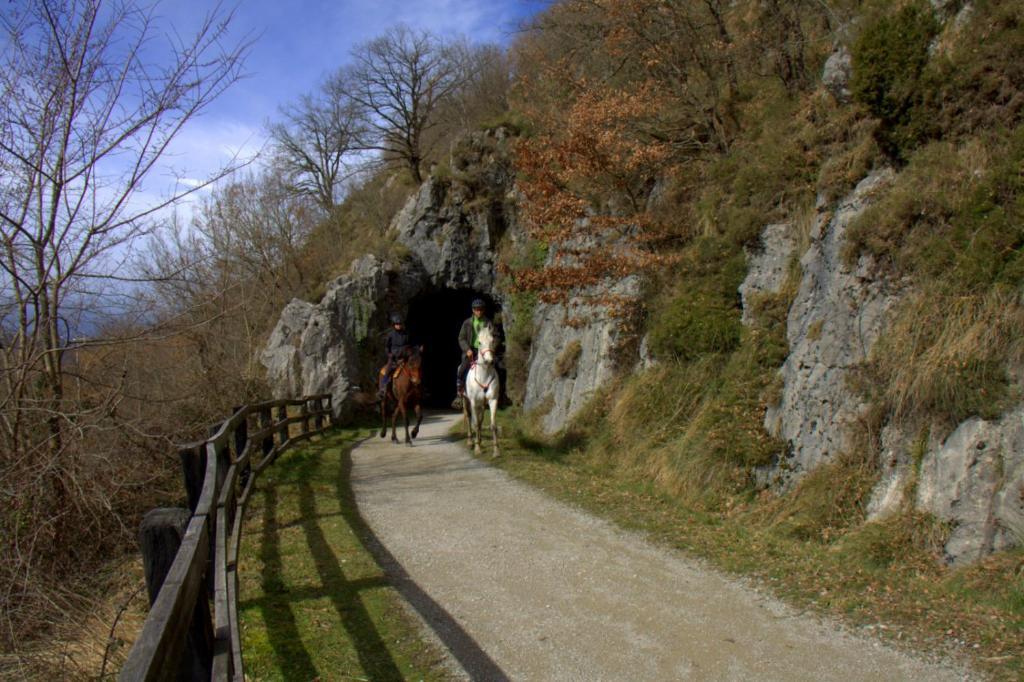 Hostal Rural Elosta Lekunberri Bagian luar foto